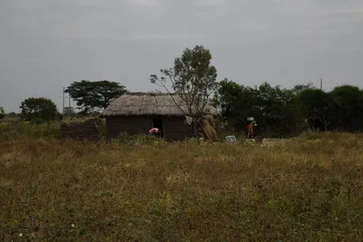 DSC_3148 (Large).JPG